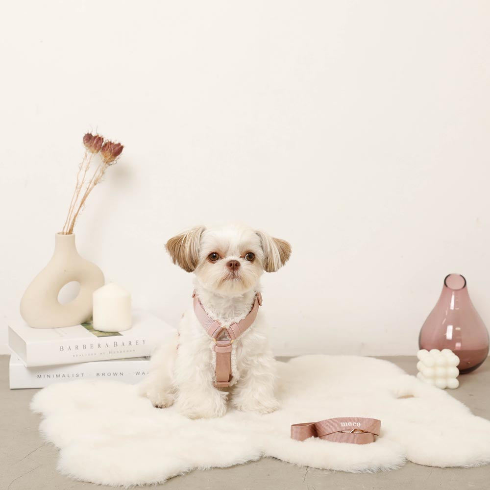 ボアハーネス+リードSET【名入れ刺繍対応】