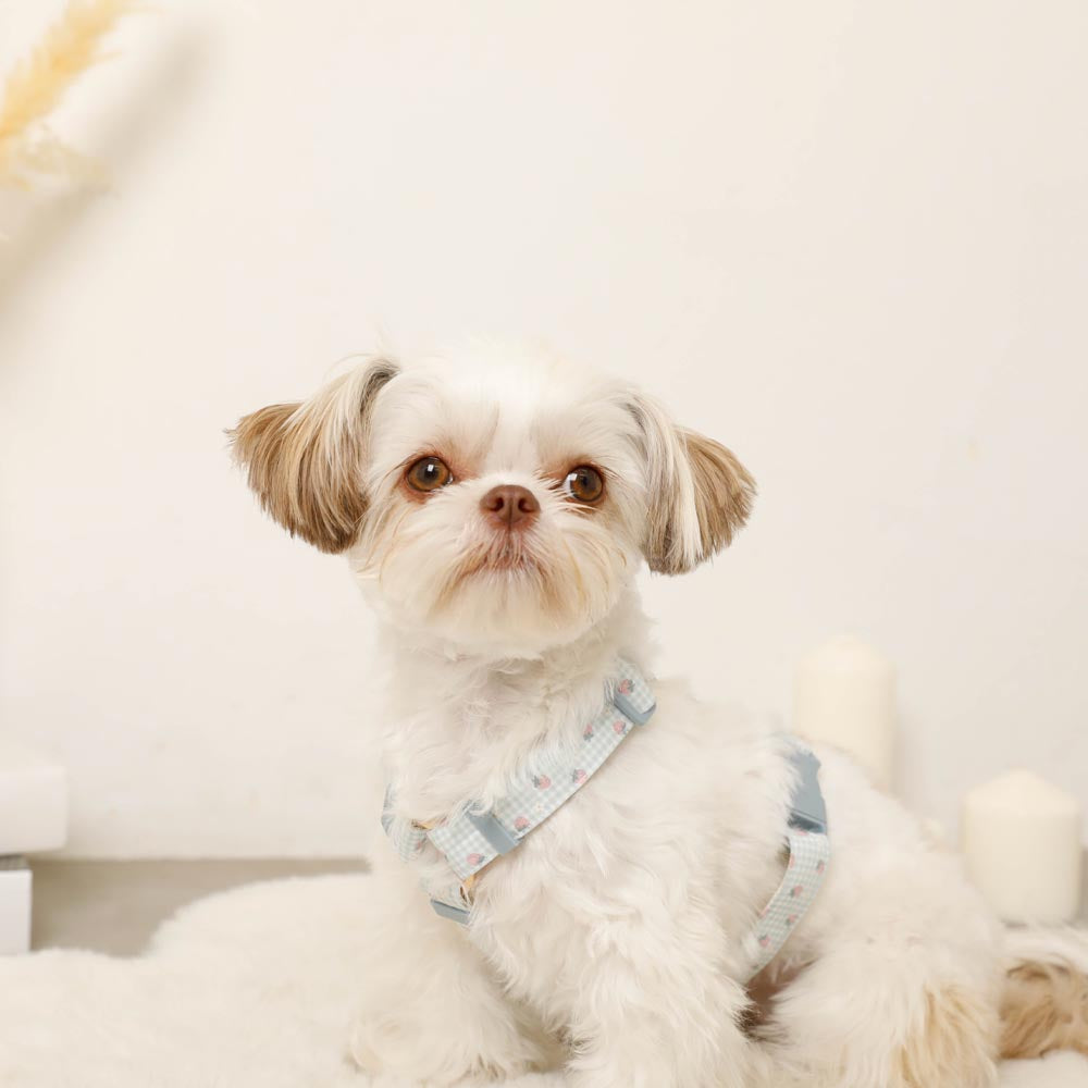 gingham strawberry harness