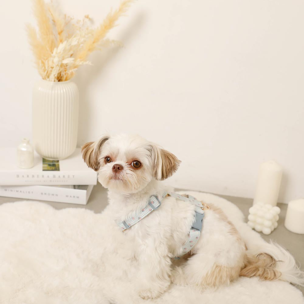 gingham strawberry harness