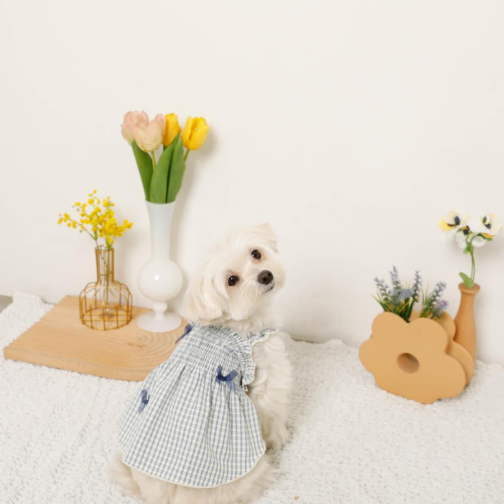 Cool check gathered ribbon dress