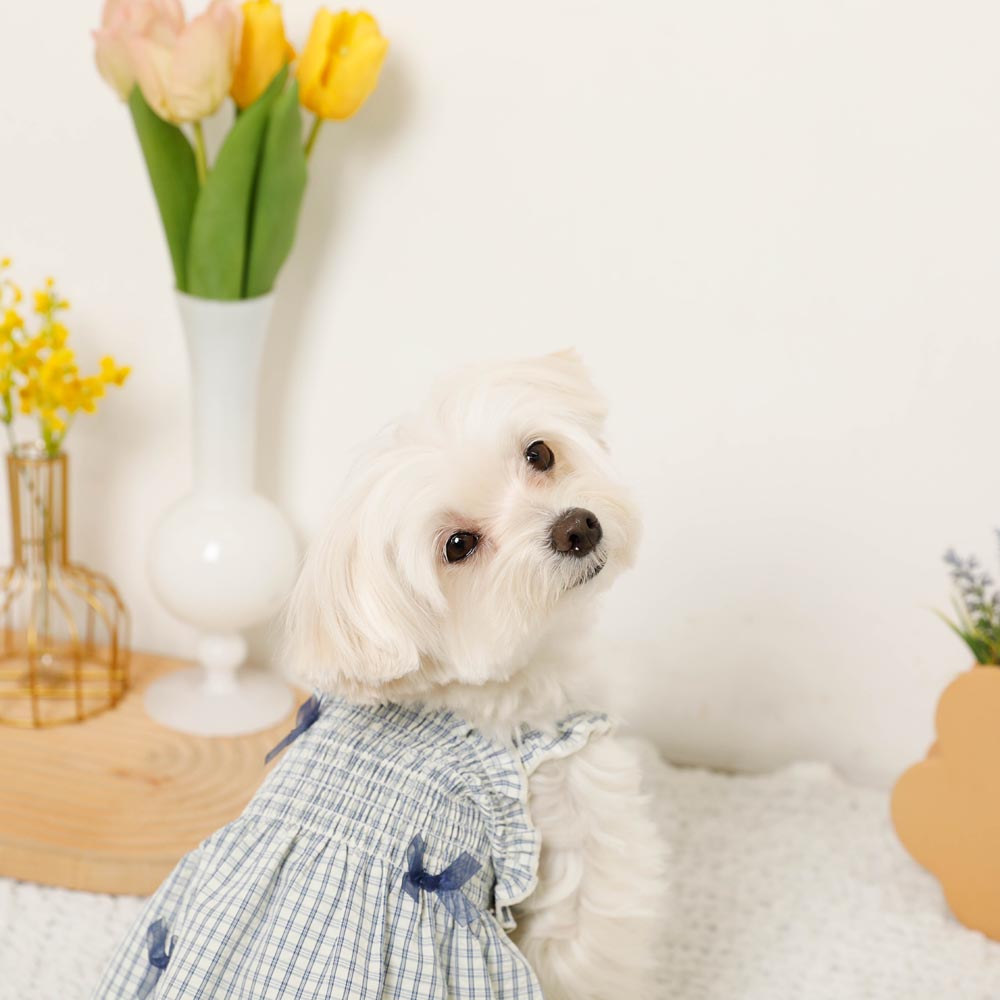Cool check gathered ribbon dress
