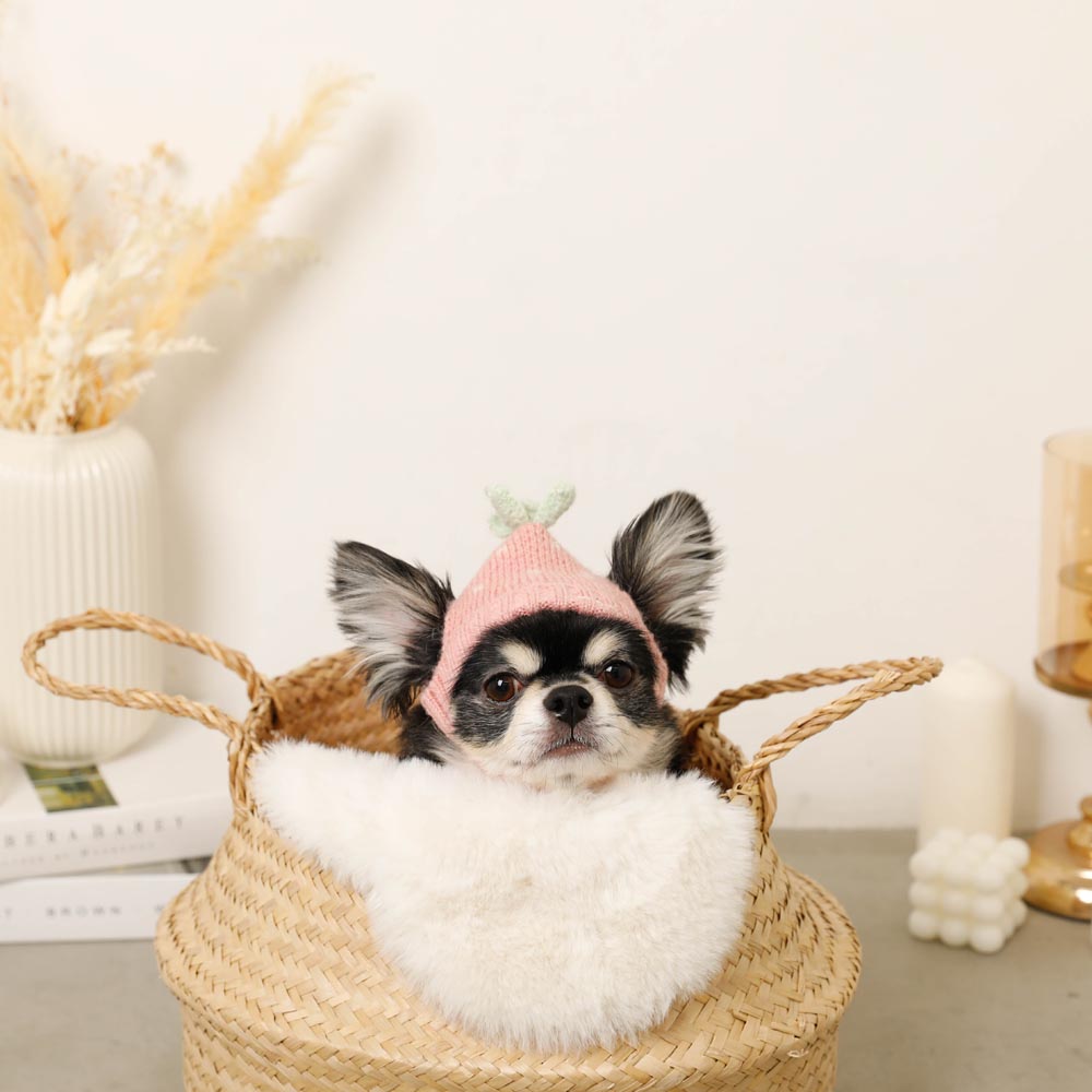 strawberry knit hat