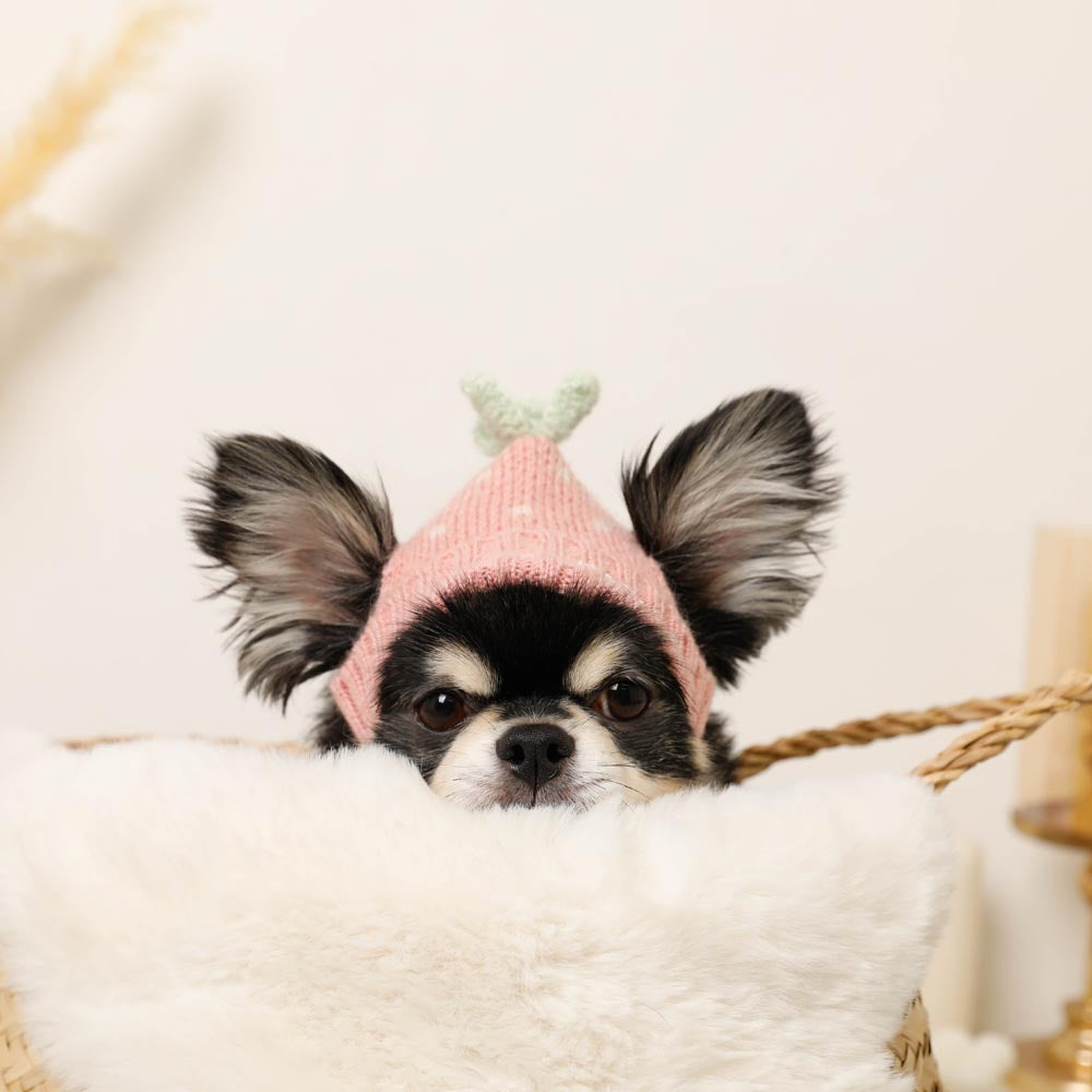 strawberry knit hat