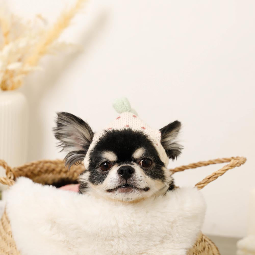 strawberry knit hat
