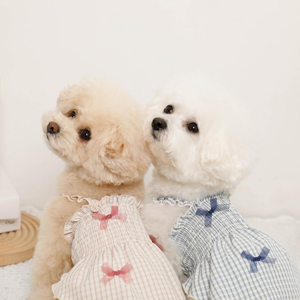 Cool check gathered ribbon dress