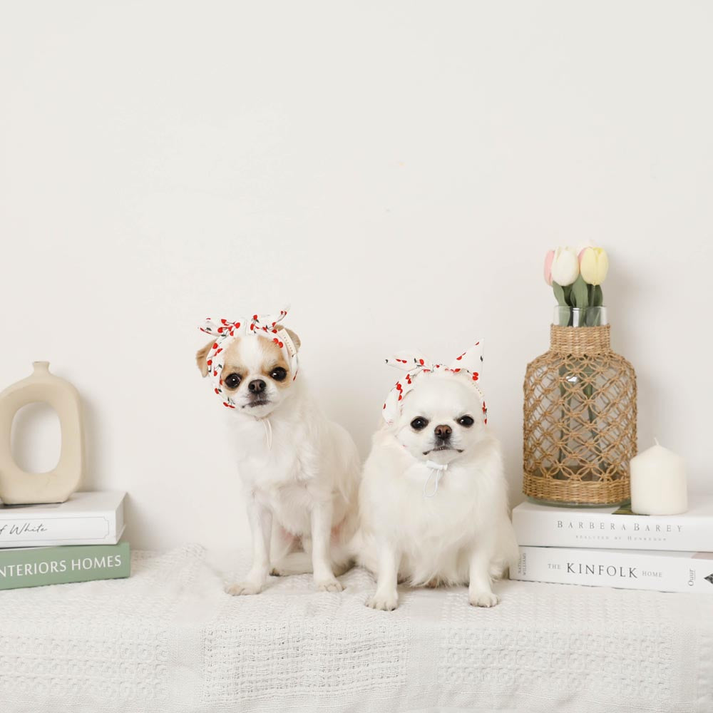 cherry pet hair bandana