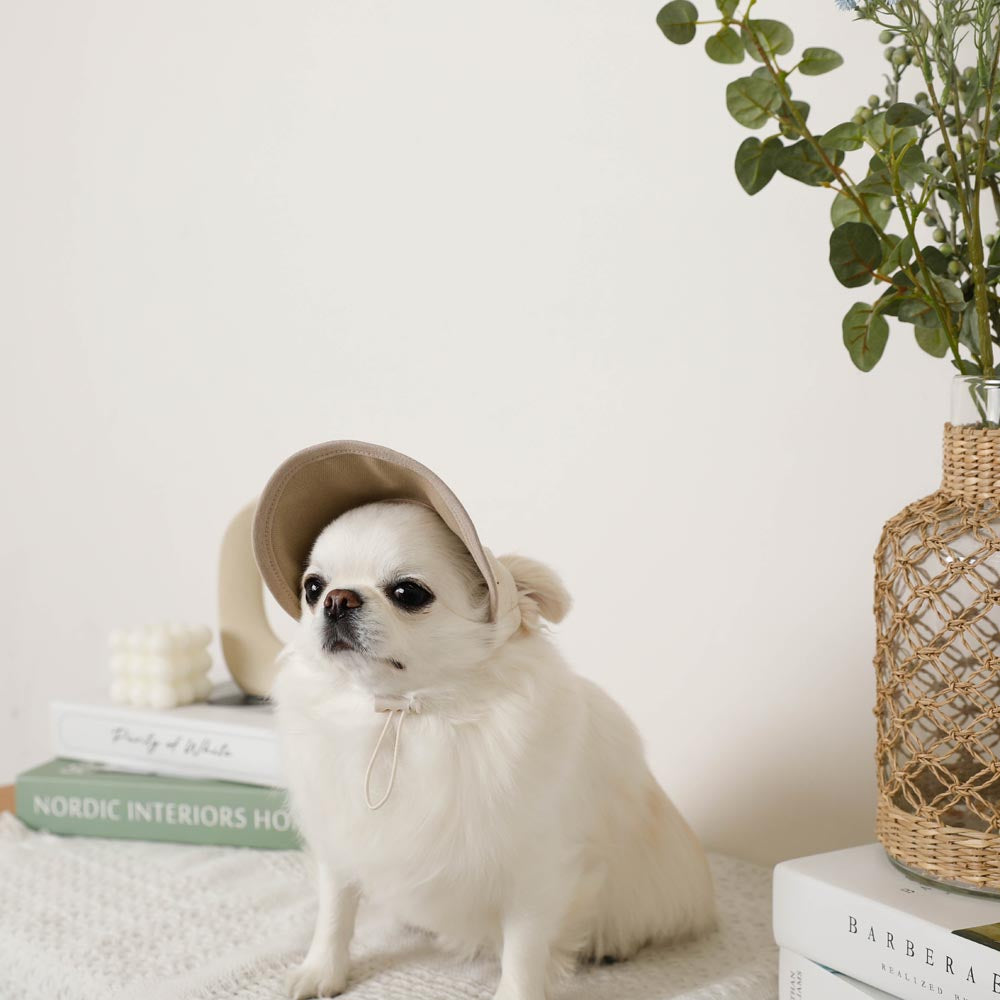 Bear embroidery bicolor sun visor cap