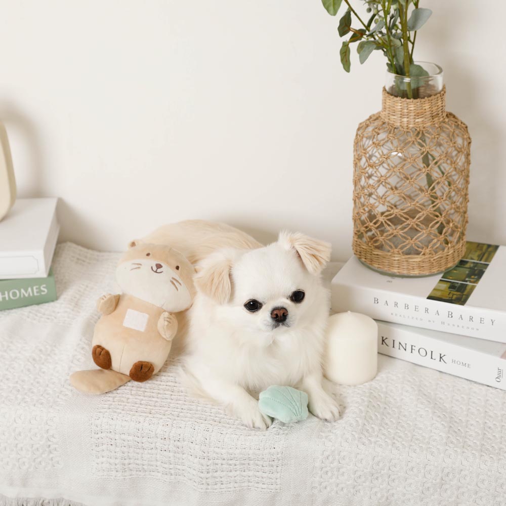 sea otter and seashell toy