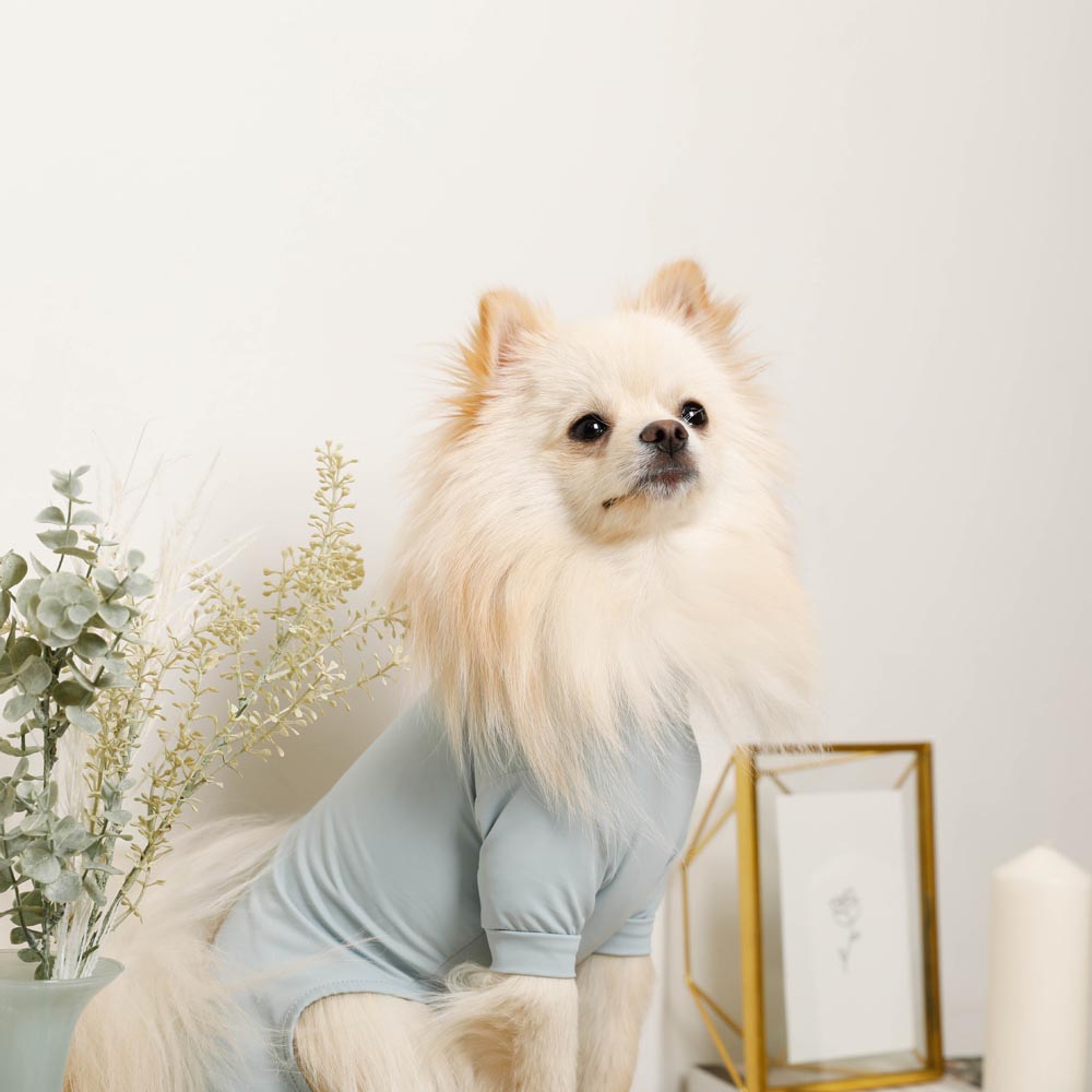 シ〜リオ様　☆犬服ハンドメイドセットアップロンパース 犬服型紙・犬服教室のセレブドッグ直営ECショップ / ロンパース