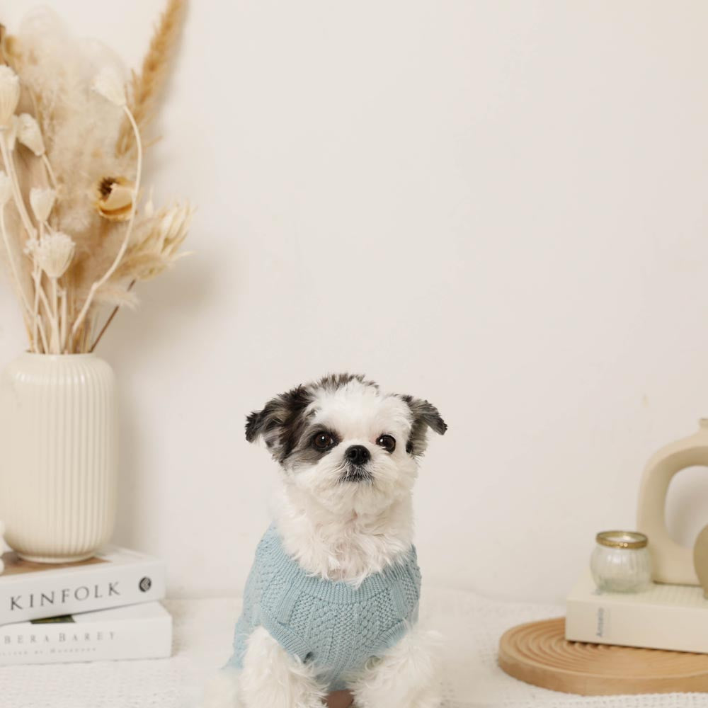 Summer knit embroidered dress