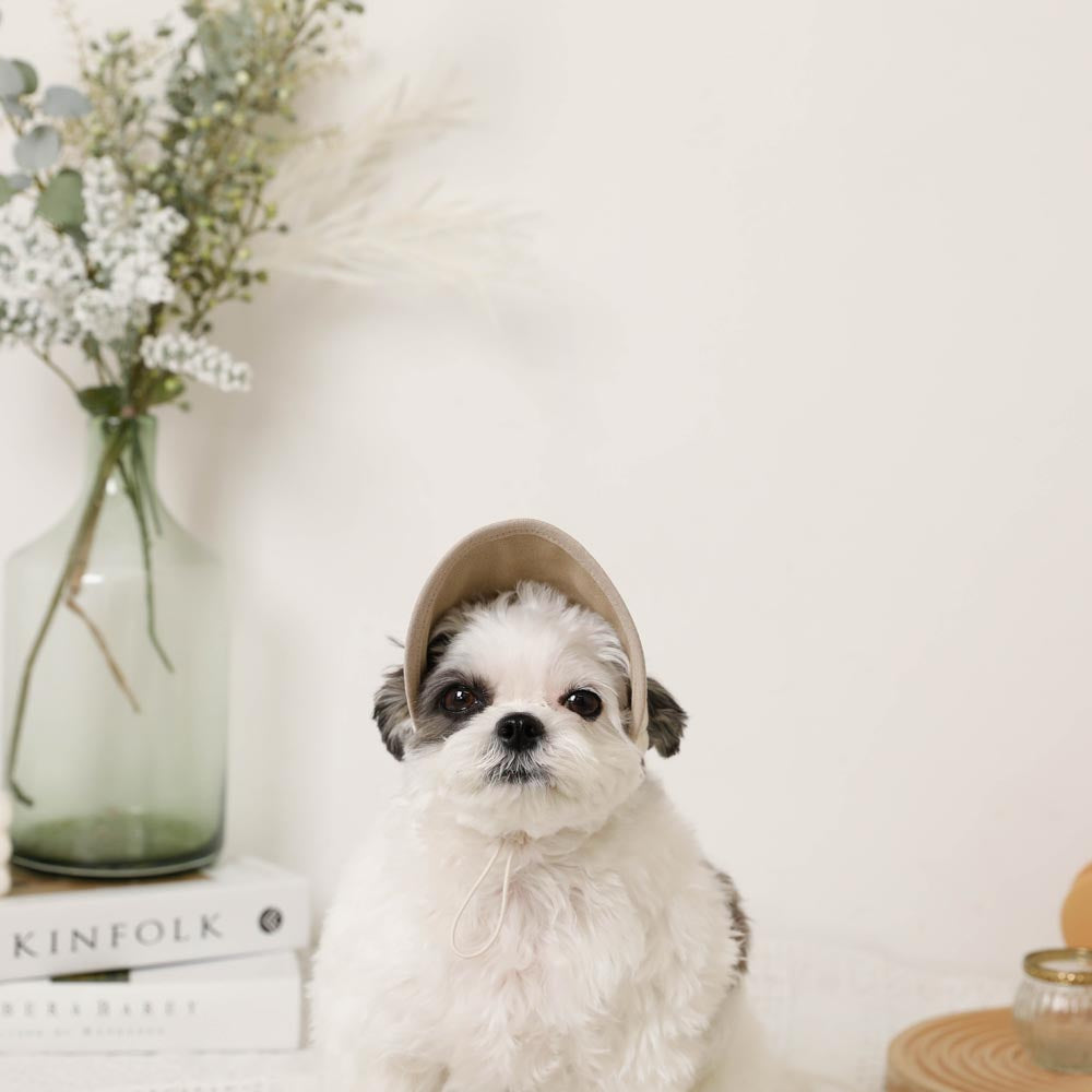 Bear embroidery bicolor sun visor cap