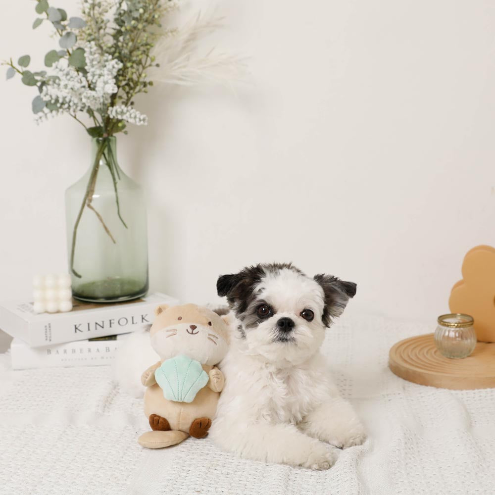 sea otter and seashell toy