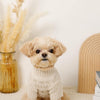 Nordic pattern high neck knit (for your dog)