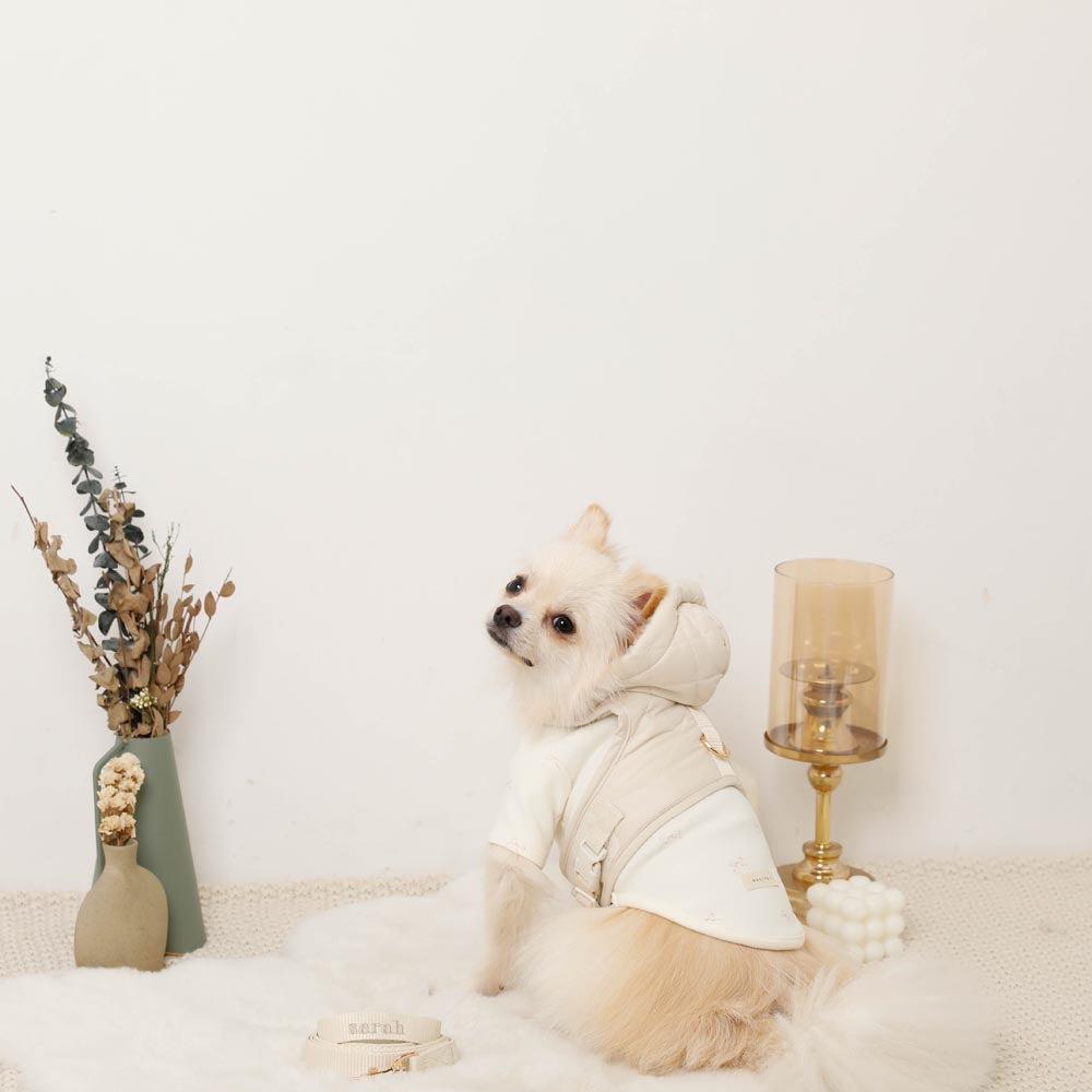 フード付きキルティングダウンライクハーネス+リードSET【名入れ刺繍対応】