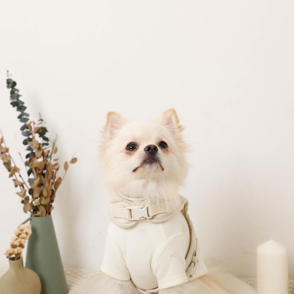 フード付きキルティングダウンライクハーネス+リードSET【名入れ刺繍対応】