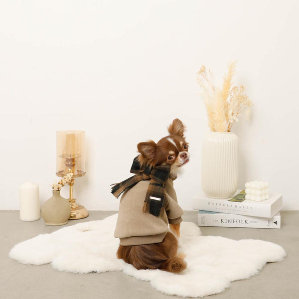 moncheri ワンビース アウター トップス 3点セット Mサイズ ワンピース | ドッグウェア・犬服通販 - monchéri(モンシェリ