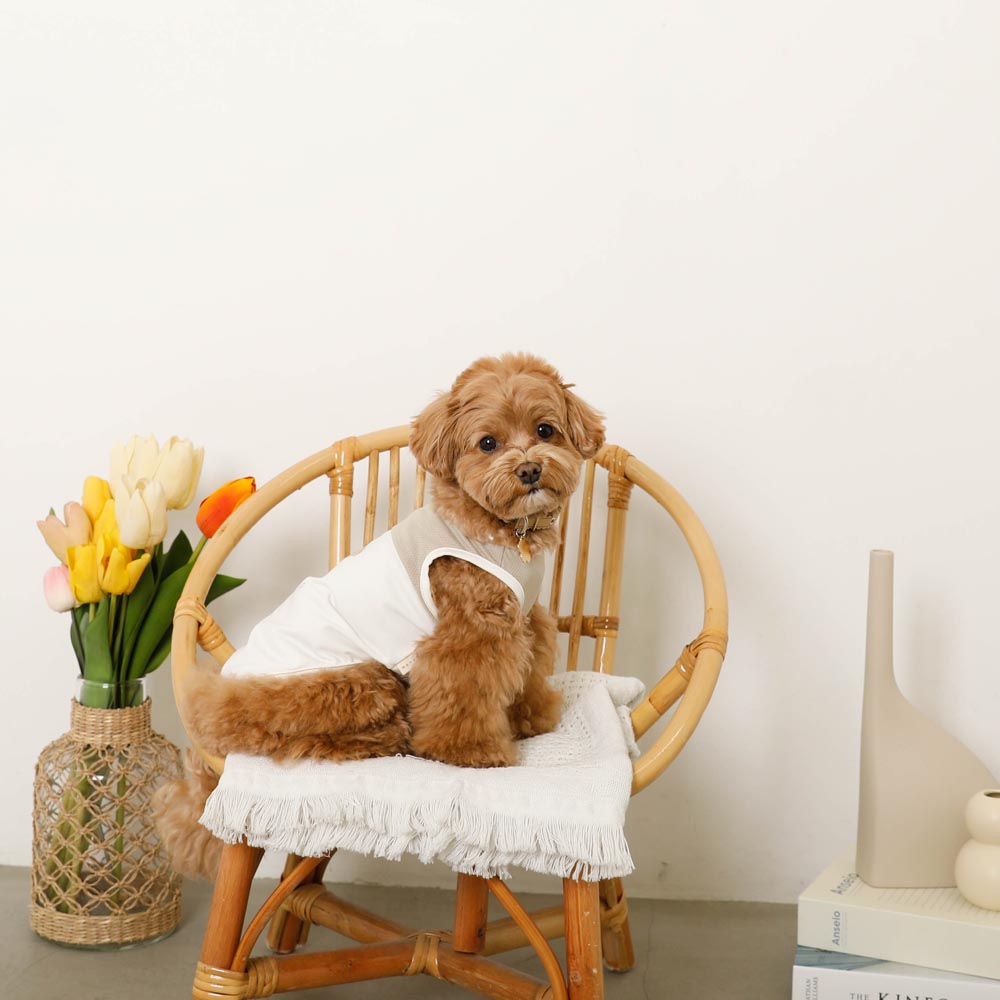 Cool bicolor mesh bear sleeveless tops [old model]