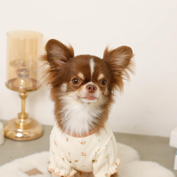 裏起毛花柄パフスリーブトップス