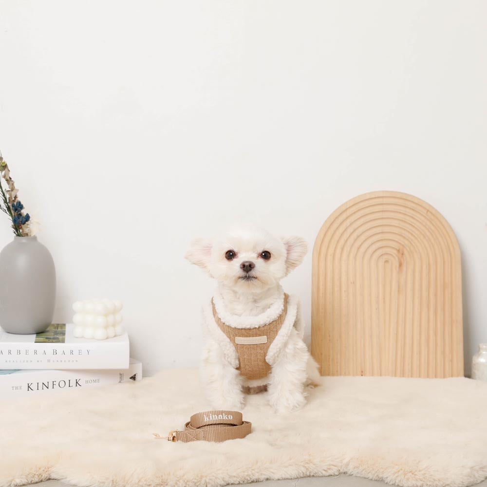 ニットボアハーネス+リードSET【名入れ刺繍対応】