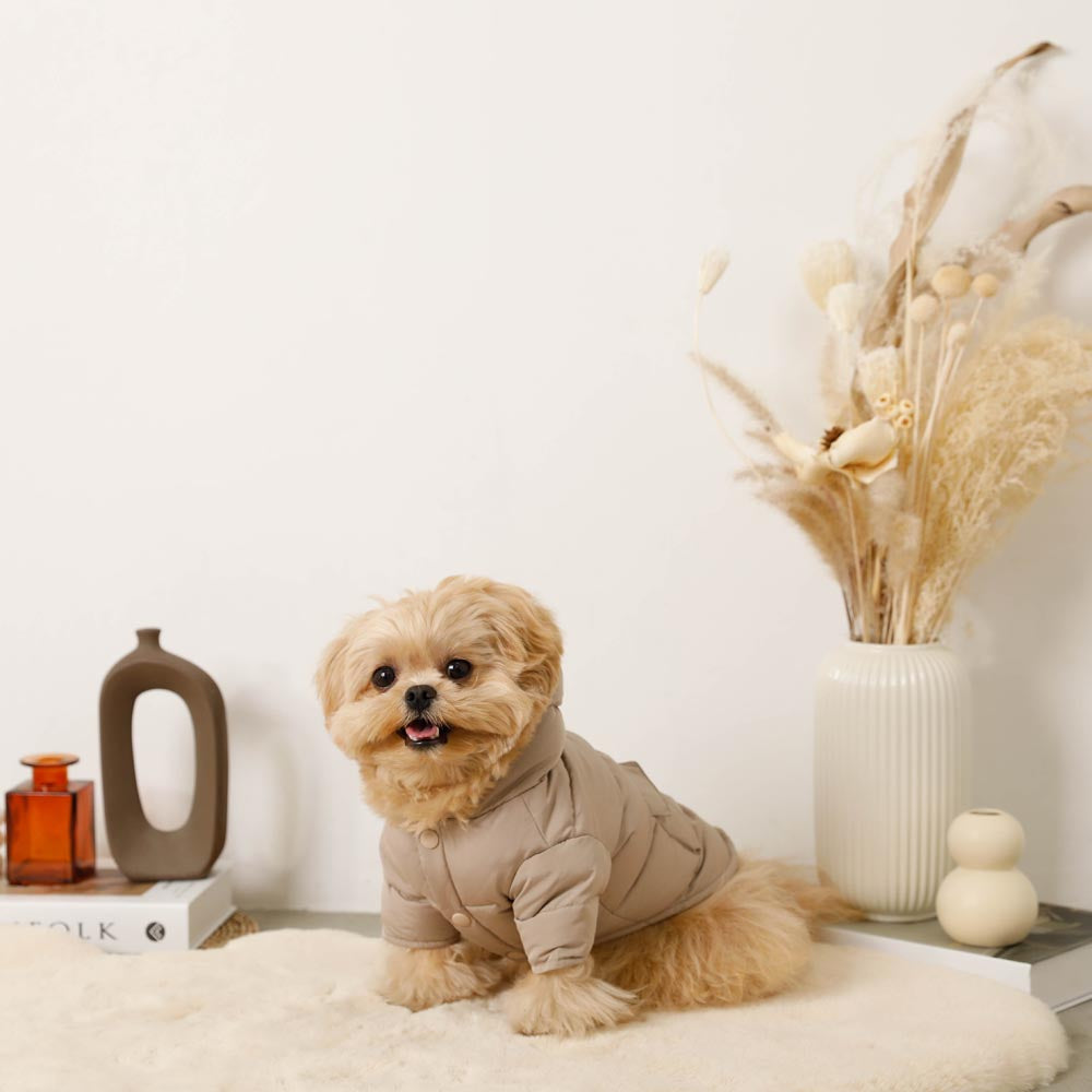 moncheri ポケット付きフードダウンジャケット 犬服 ドッグウェア XL ポケット付きフードダウンジャケット