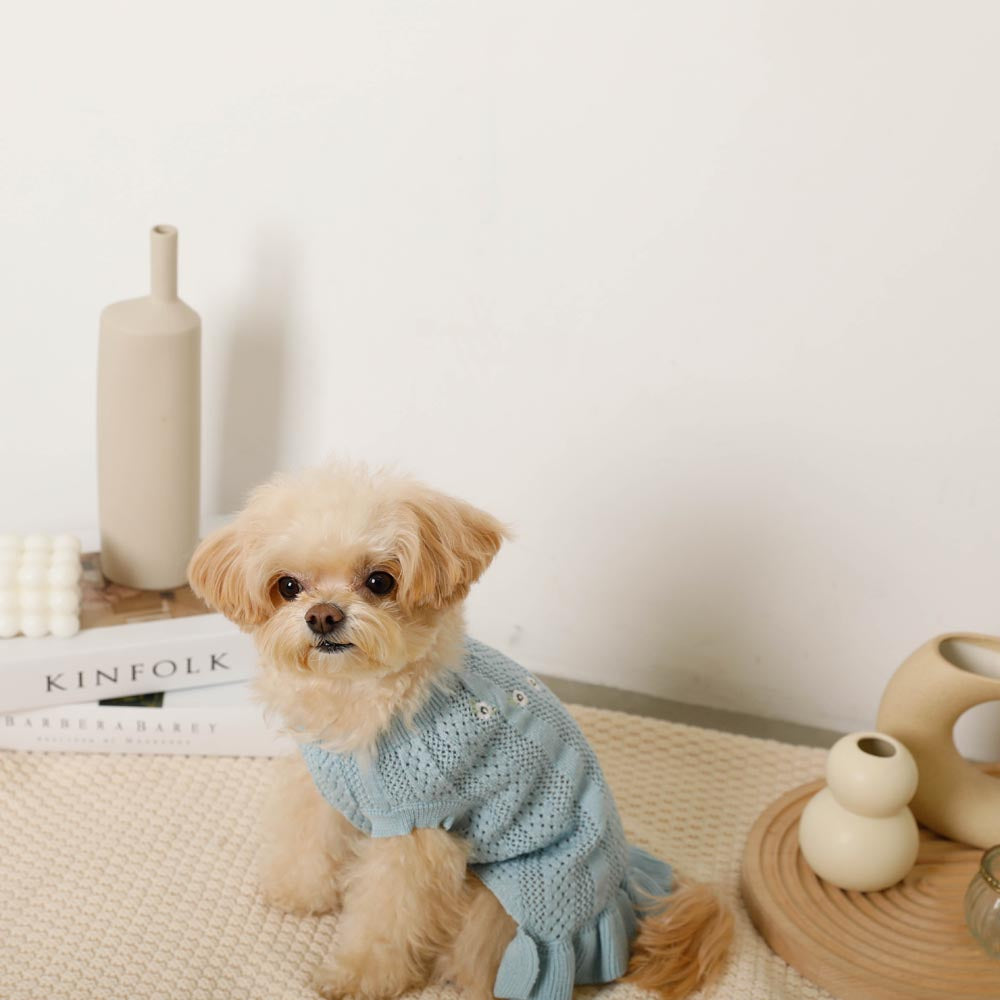 Summer knit embroidered dress