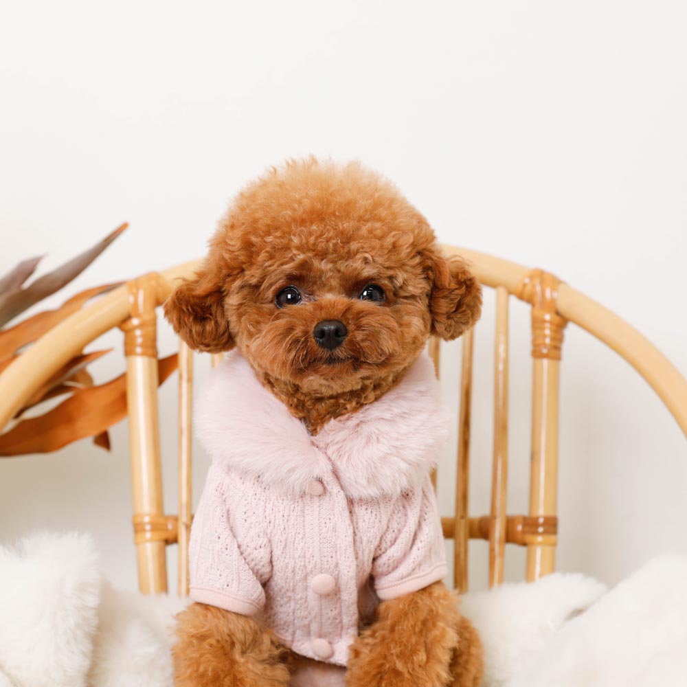 fur collar knit tops