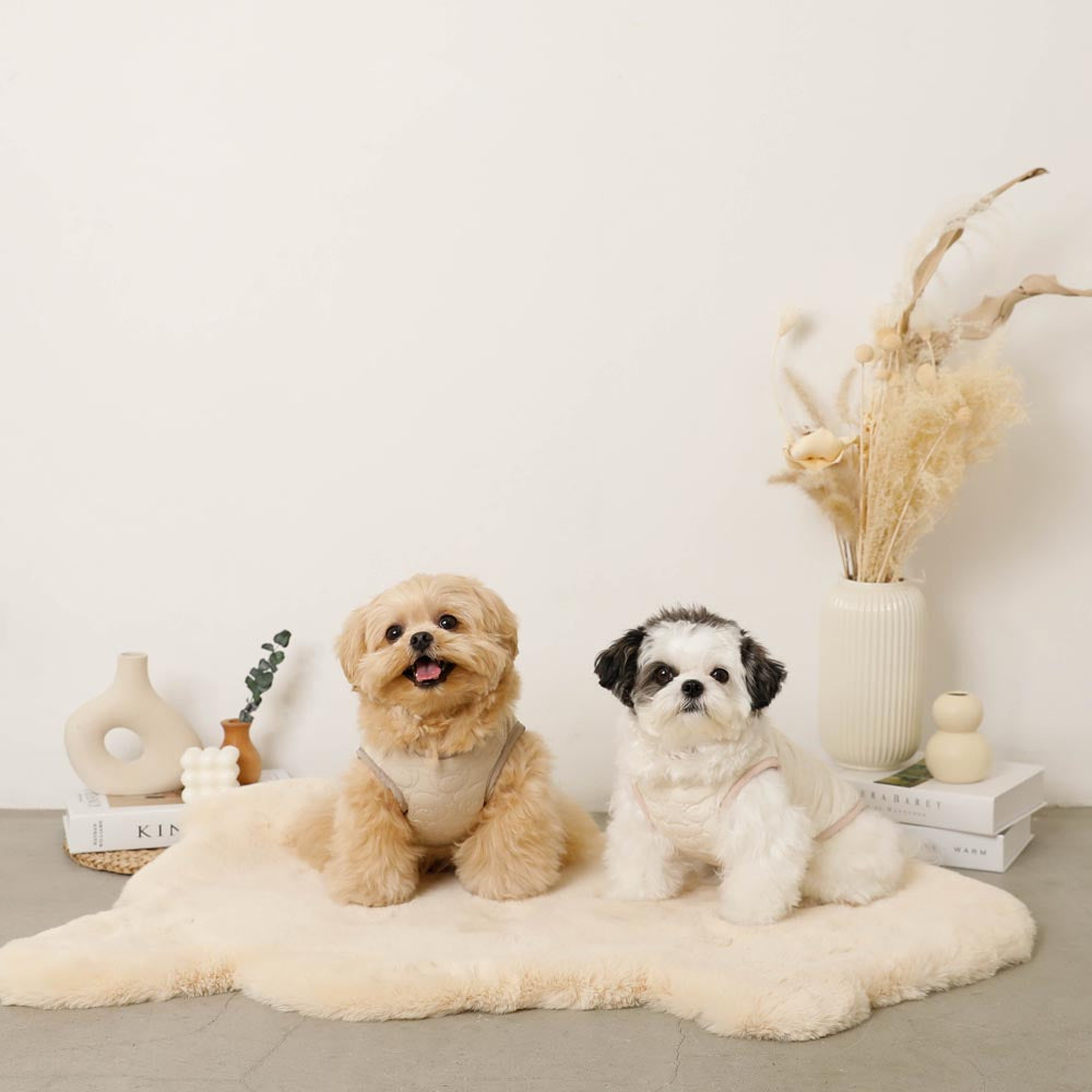 Reversible boa bear quilted jacket