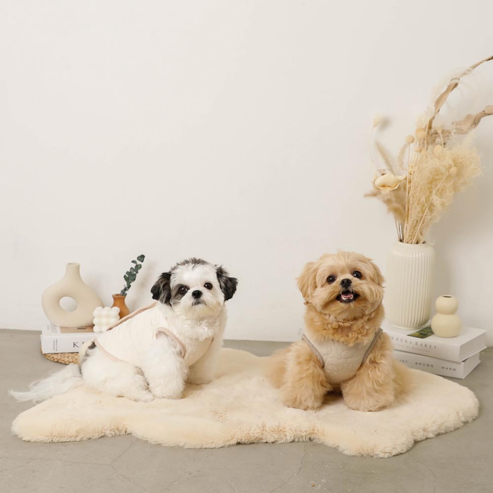 Reversible boa bear quilted jacket