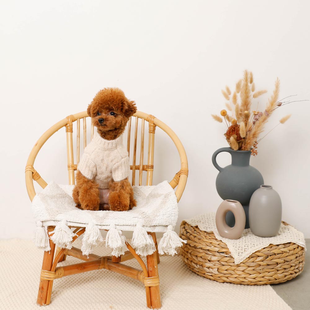 【最終価格】ケーブルドロップショルダーニット　　＊オマケ付き ケーブルドロップショルダーニット（愛犬ちゃん用）