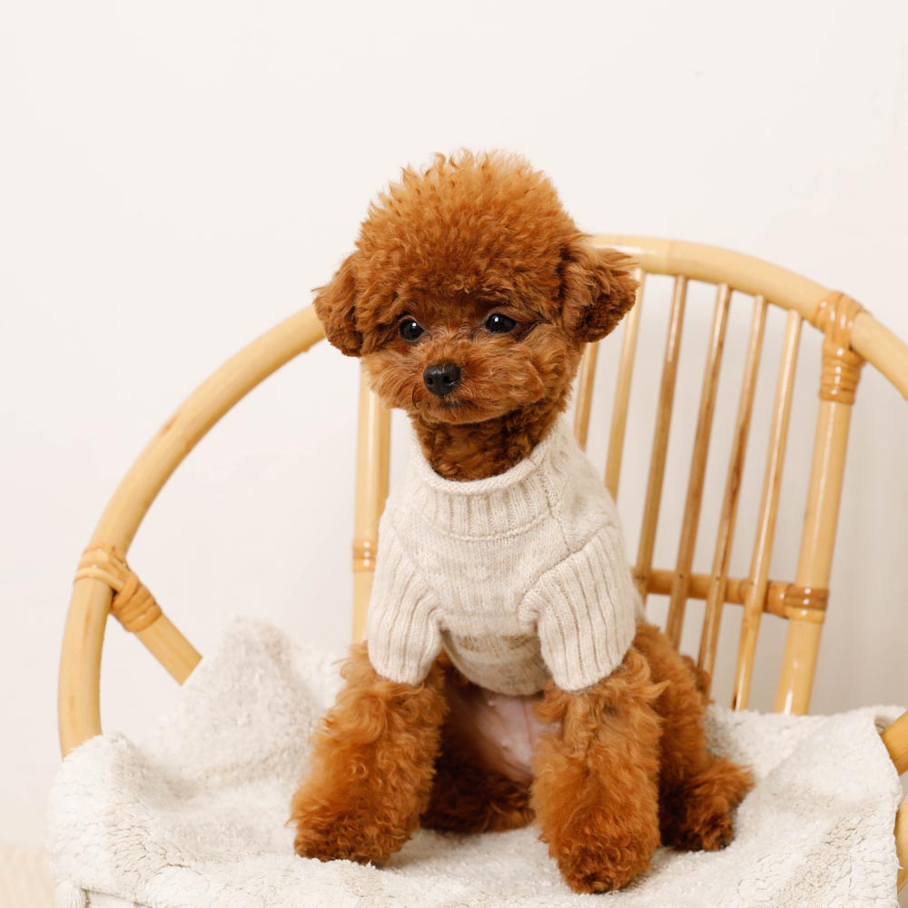 ノルディック柄ハイネックニット（愛犬ちゃん用）
