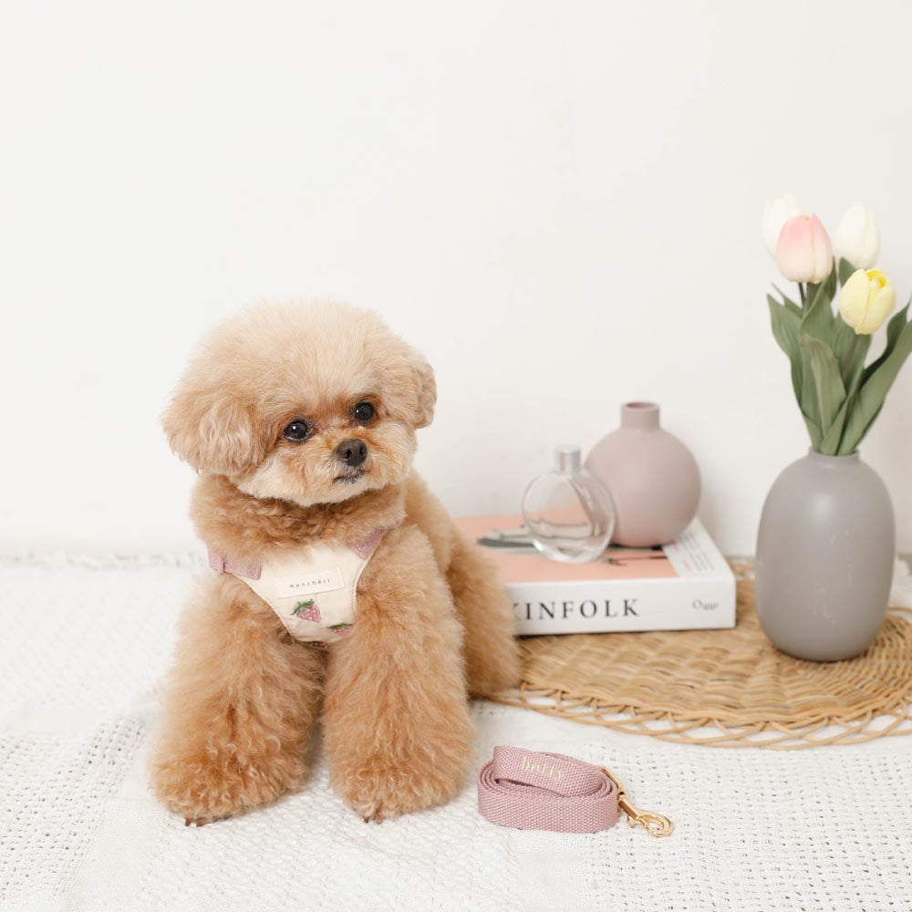 Cool strawberry pattern harness + lead set [Name embroidery available]