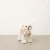 ボアチューリップ刺繍ハーネス+リードSET【名入れ刺繍対応】