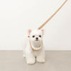 ニットボアハーネス+リードSET【名入れ刺繍対応】