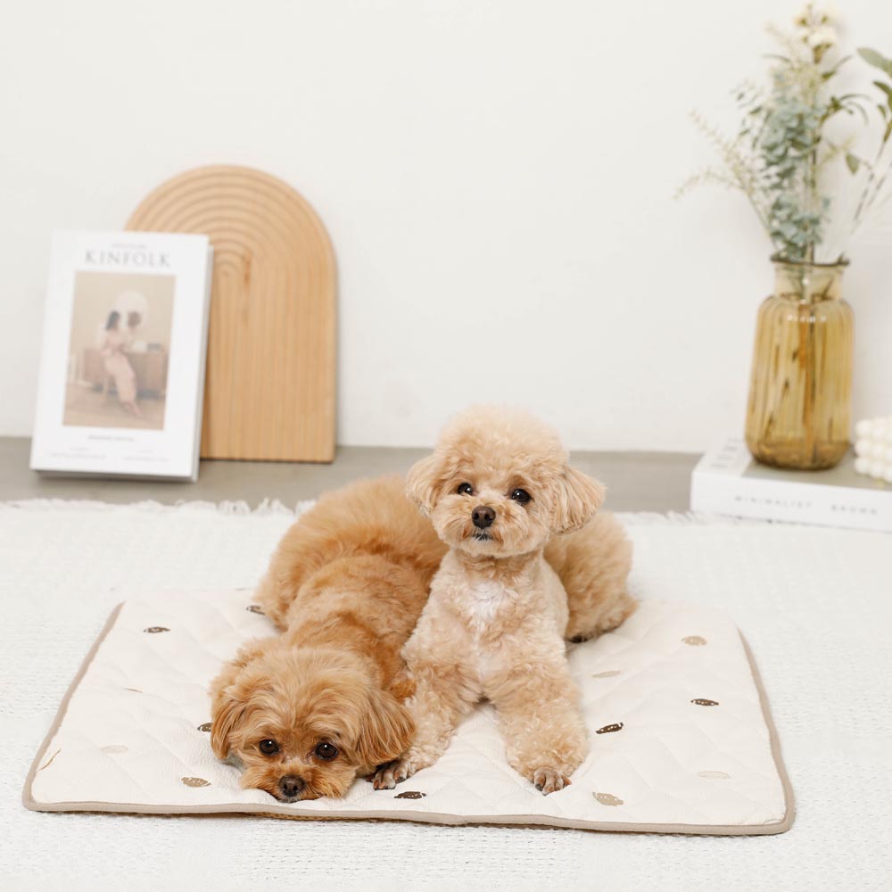 Dog embroidery quilting cafe mat [Compatible with name embroidery]