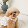 Cool Sleeve Frircotton Lace One Piece