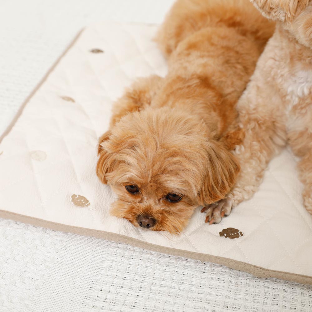 Dog embroidery quilting cafe mat [Compatible with name embroidery]