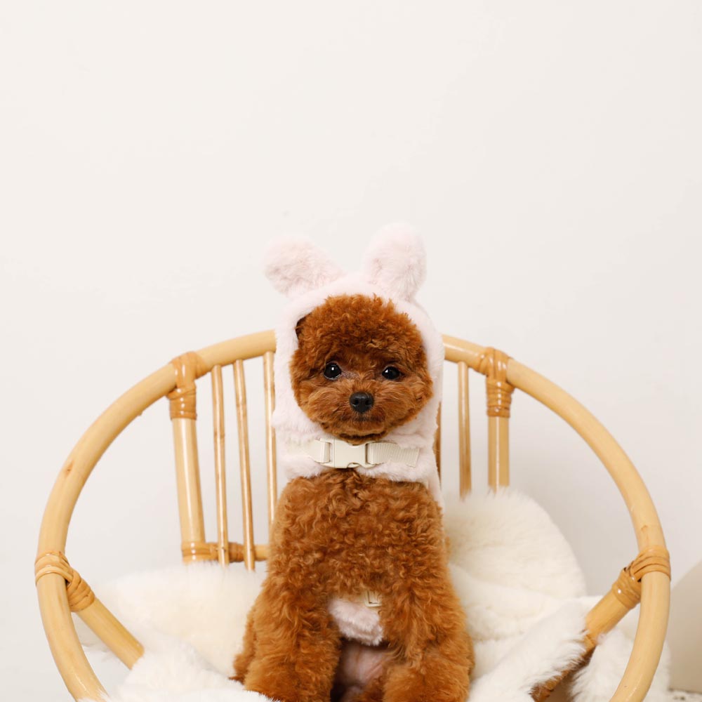 Hood fur harness with rabbit ears