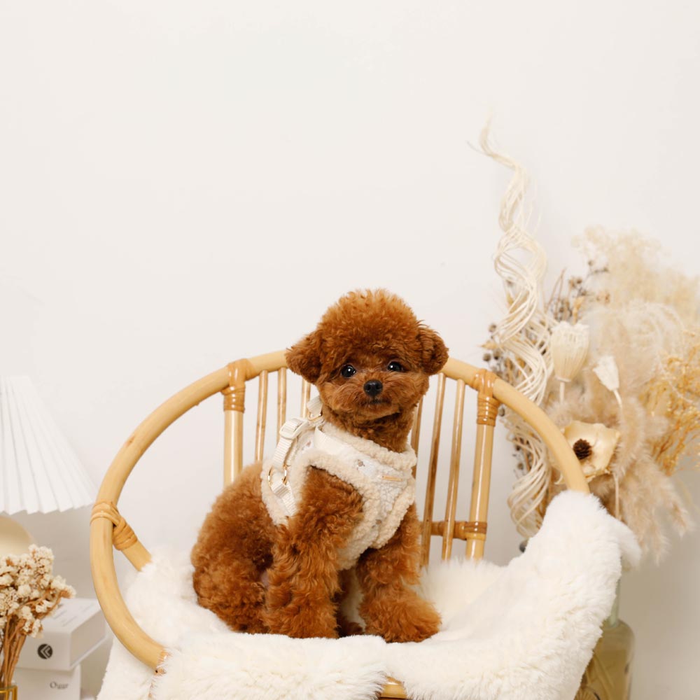 【新品未使用】moncheri ひつじさん柄ハーネス＋リードSET Sサイズ ひつじさん柄ハーネス＋リードSET【名入れ刺繍対応】