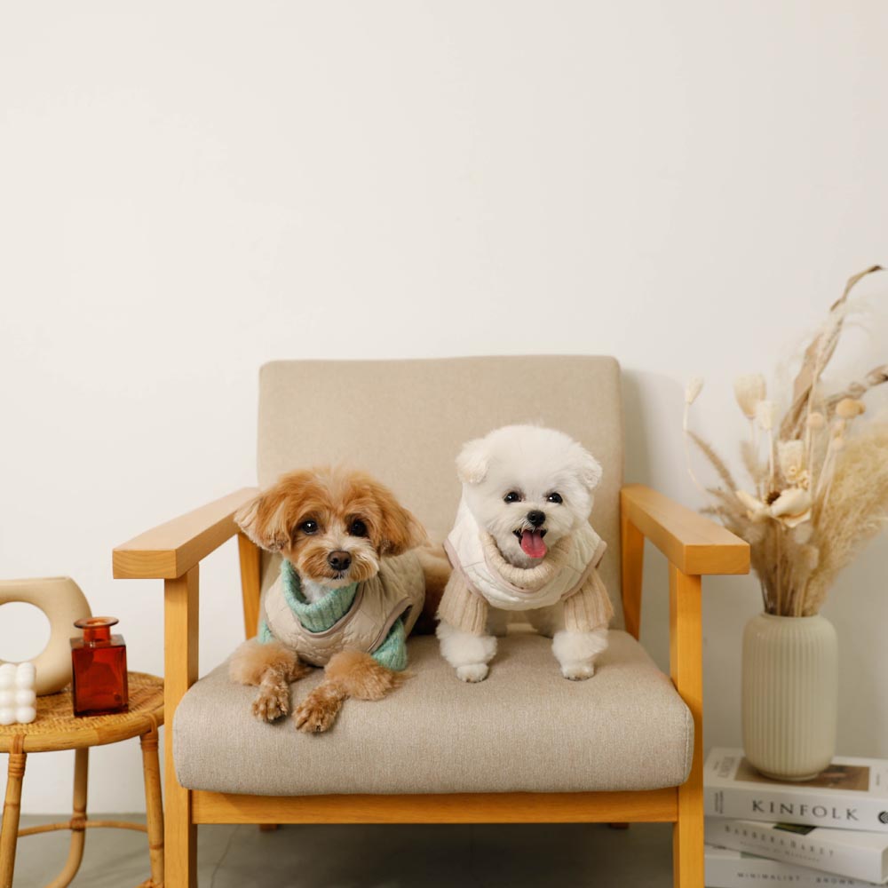 Reversible boa bear quilted jacket