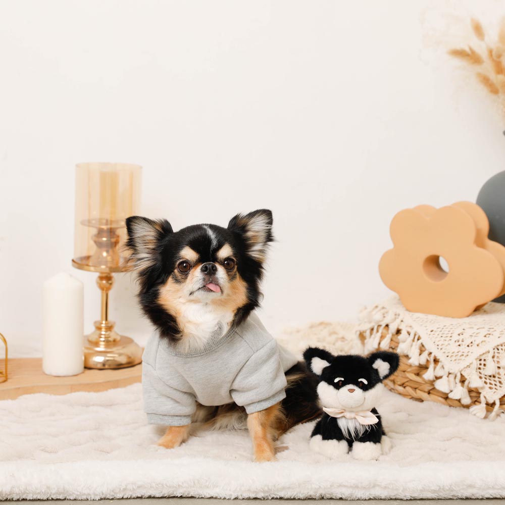 black dog stuffed toy