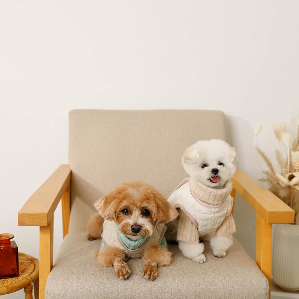 Reversible boa bear quilted jacket