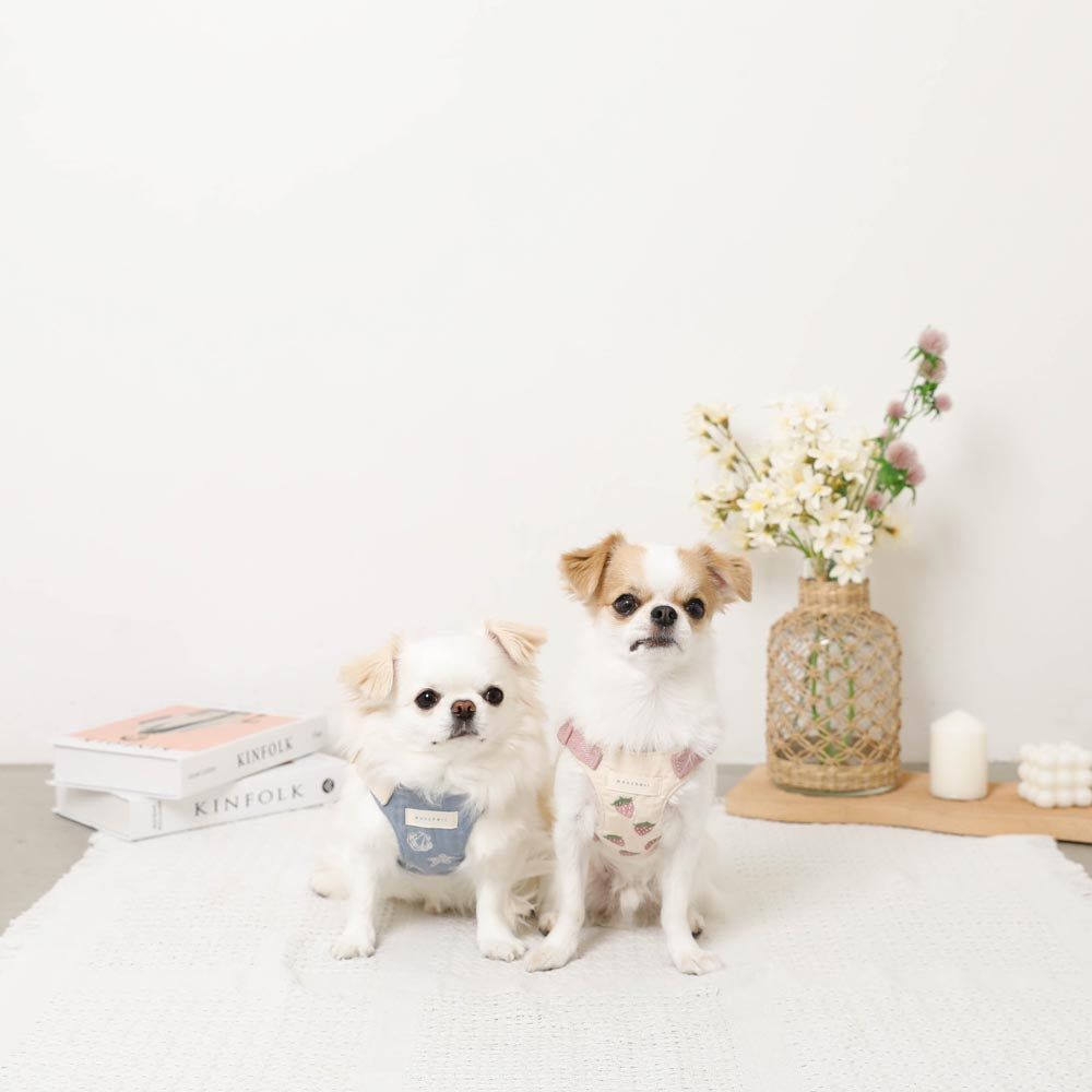 Cool strawberry pattern harness + lead set [Name embroidery available]