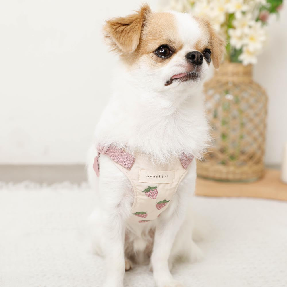 Cool strawberry pattern harness + lead set [Name embroidery available]