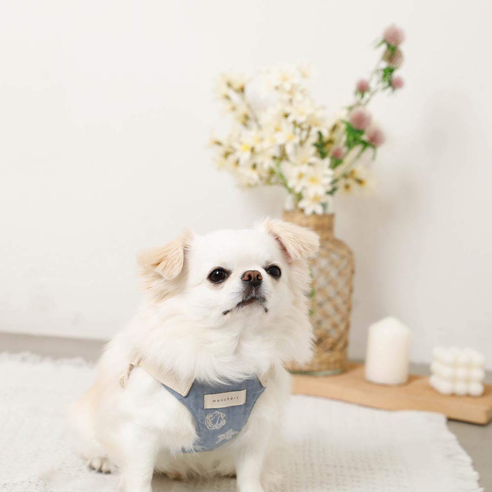 Cool Shell Starfish Pattern Harness + Lead Set [Compatible with name embroidery]