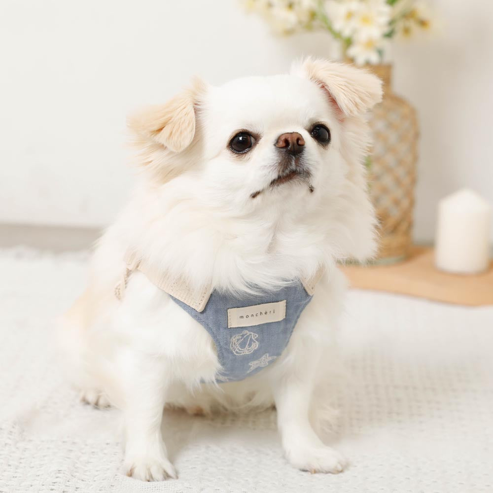 Cool Shell Starfish Pattern Harness + Lead Set [Compatible with name embroidery]