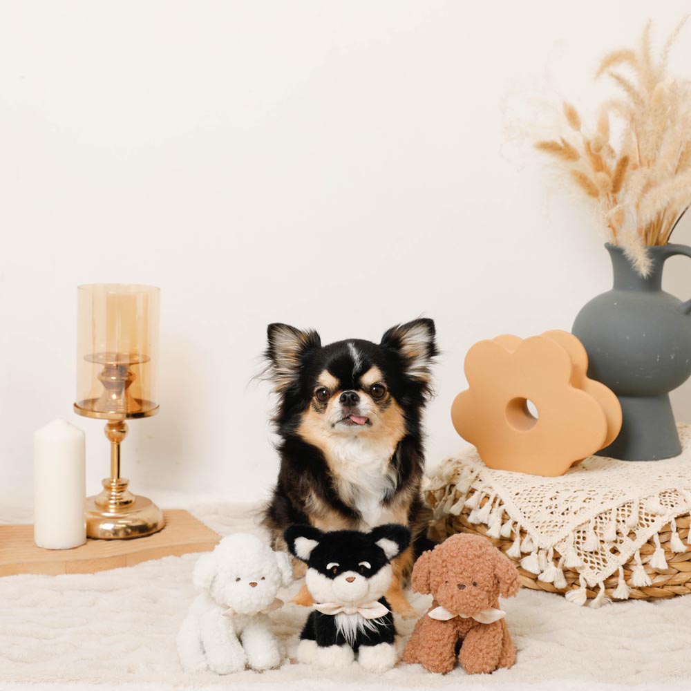 black dog stuffed toy