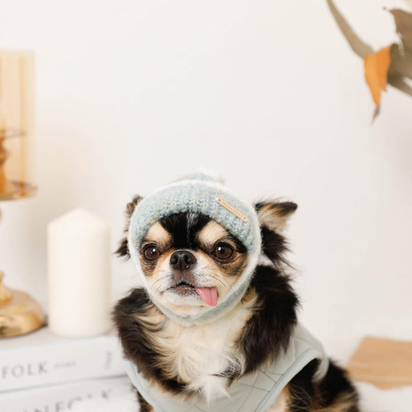 フラップニット帽