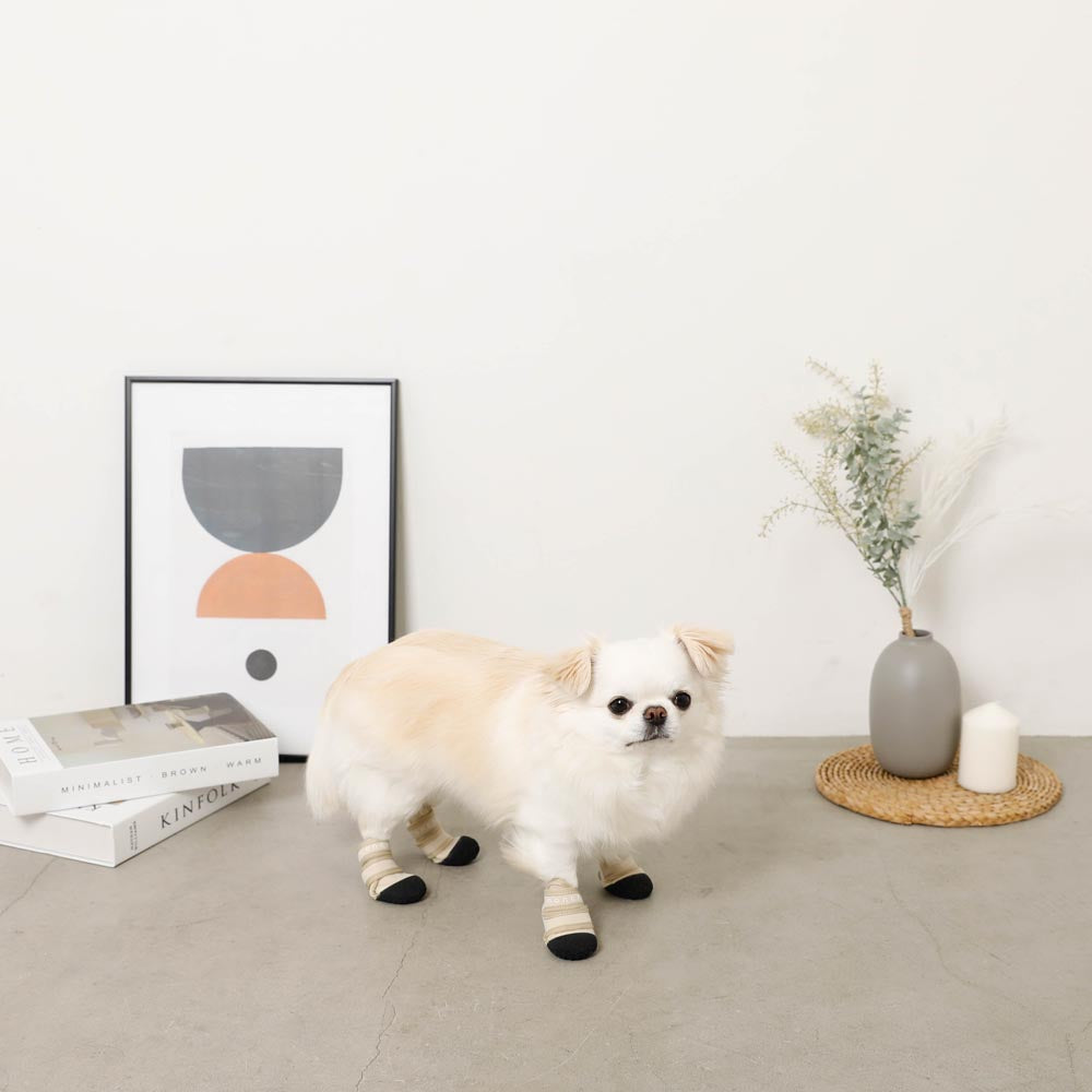 neoprene pet shoes