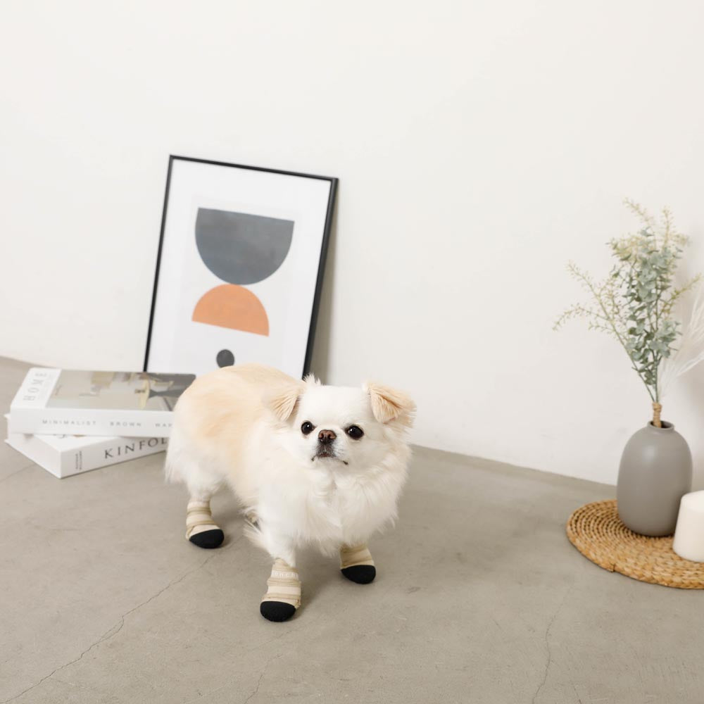 neoprene pet shoes