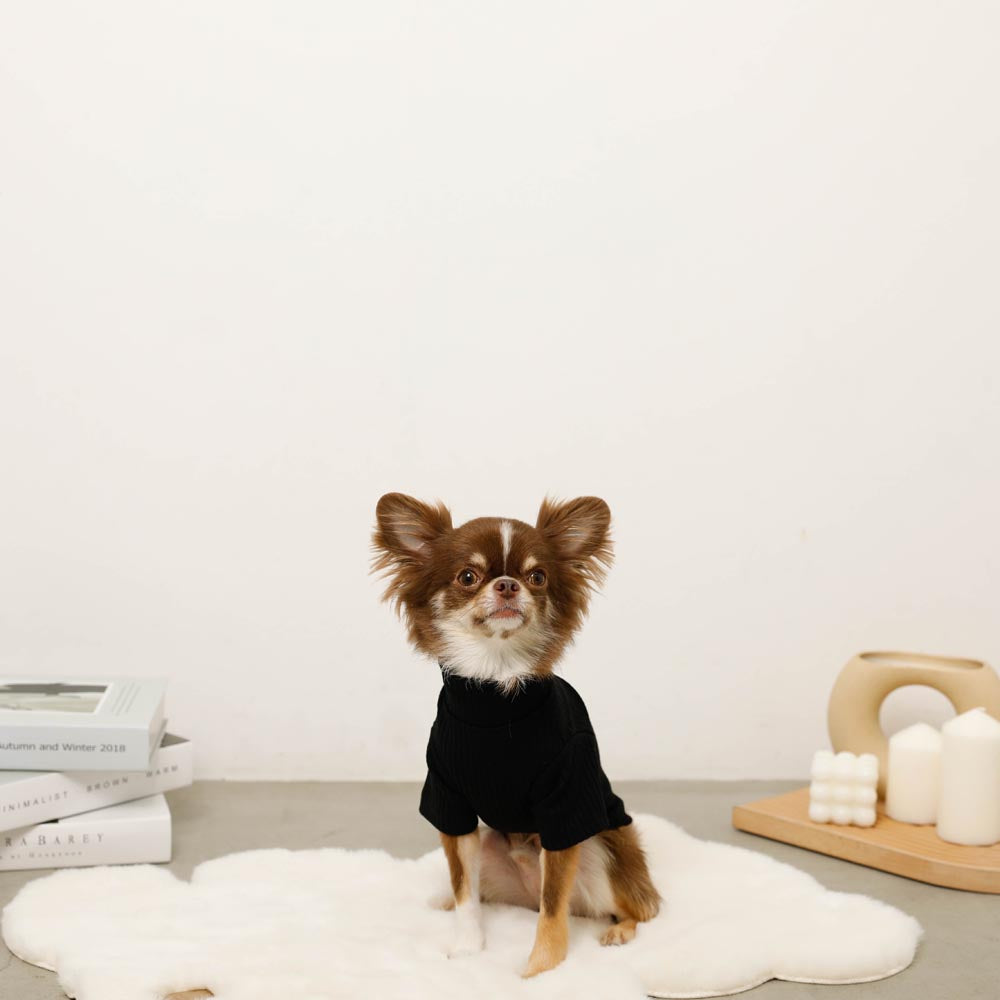 Simple high neck rib tops